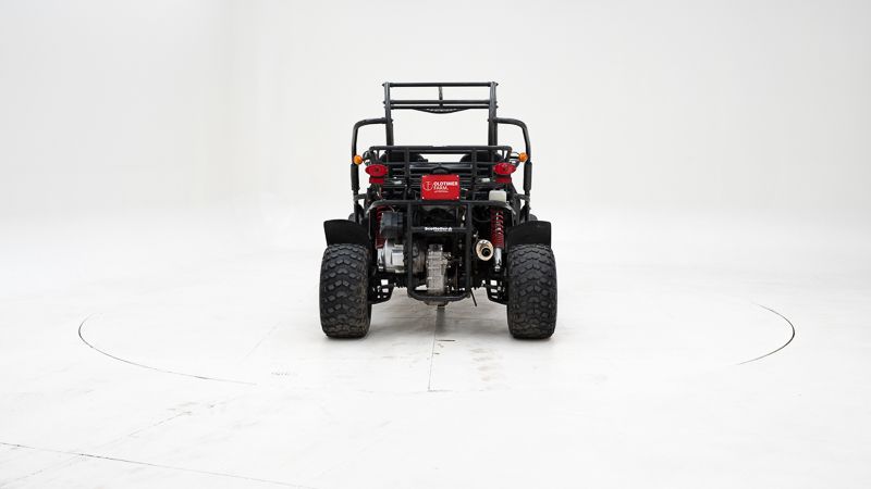 PGO 250 Buggy \'2009 