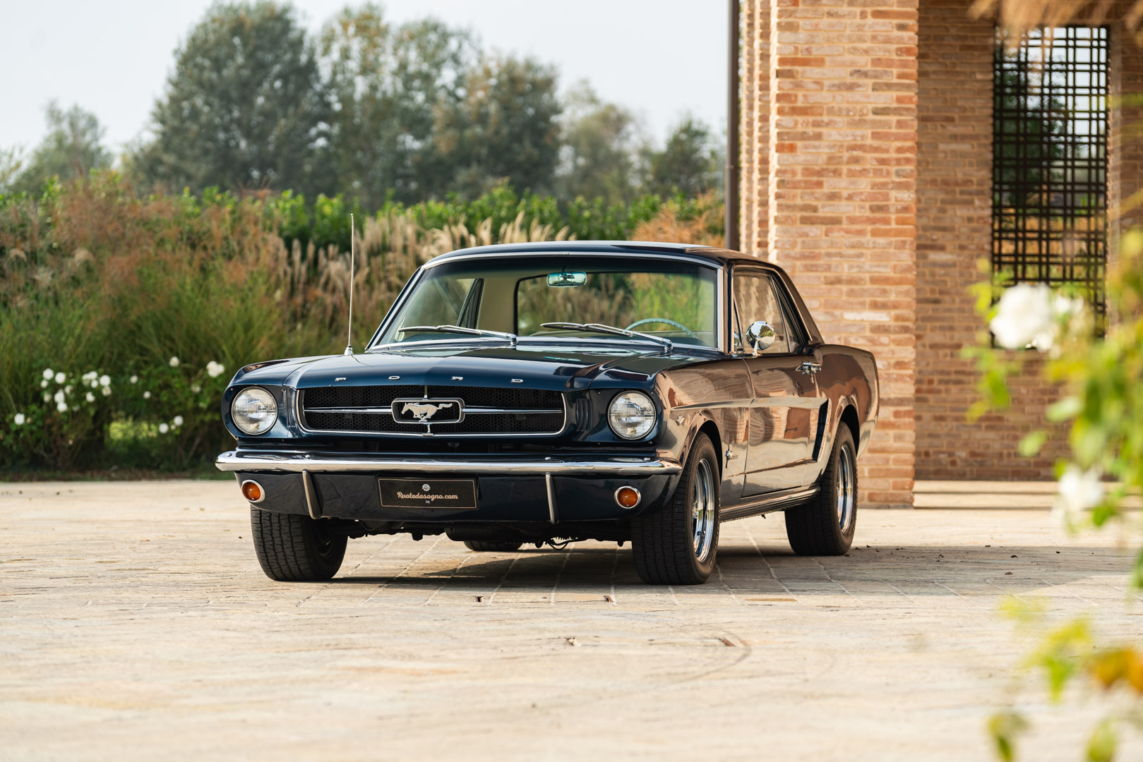 Ford MUSTANG 260 