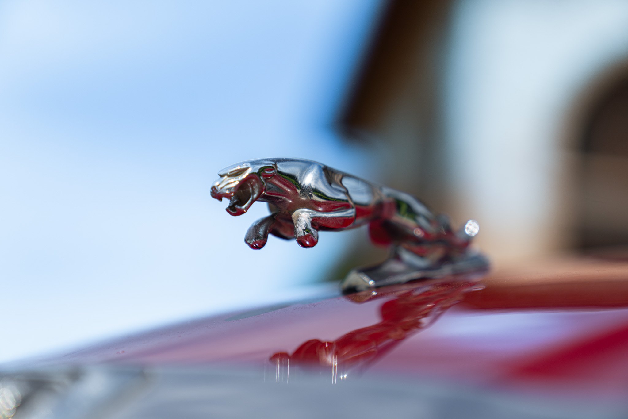 Jaguar XJ6 4.2 MANUALE 