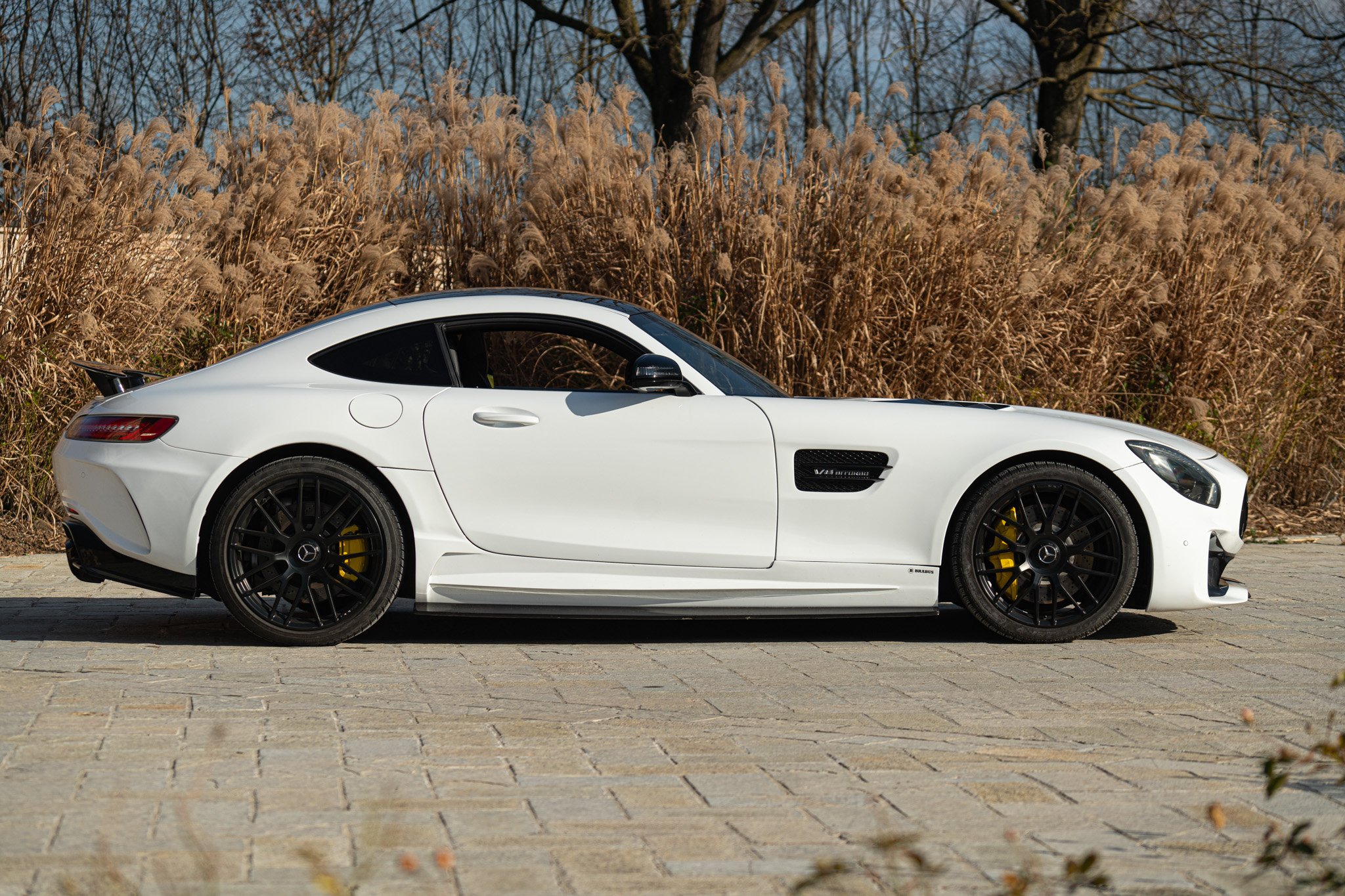 Mercedes Benz AMG GT 