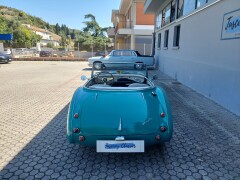 AUSTIN HEALEY BN4 100/6 