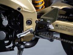 Aprilia RSV R 1000 TUONO 